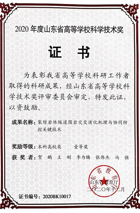 2020山东省高等学校科技奖-一等