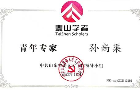 17-泰山学者青年专家